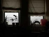image of window_shade