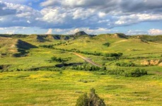 image of grassland