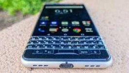 image of blackberry