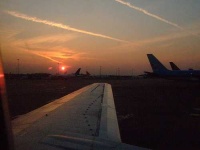 image of wing