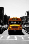 image of school_bus