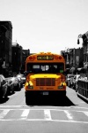 image of school_bus #6