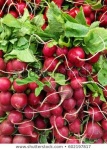 image of fruit_and_vegetable