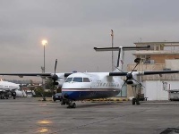 image of wing
