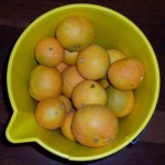 image of bucket