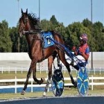 image of harness_racing #28