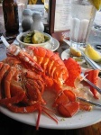 image of american_lobster #33