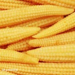 image of sweetcorn #30