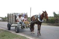 image of horse_cart #21