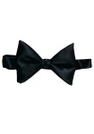image of bowtie