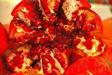 image of pomegranate