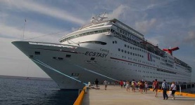 image of liner