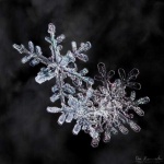 image of snowflake