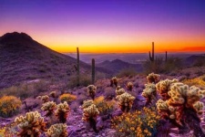 image of desert