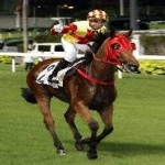 image of sport