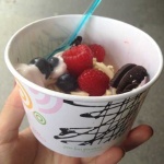 image of frozen_yogurt #24