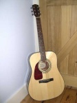 image of acoustic_guitar