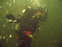 image of scuba_diver