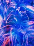 image of feather_boa