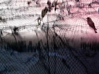 image of chainlink_fence