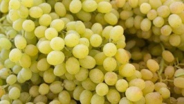 image of grapes #24