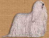 image of komondor