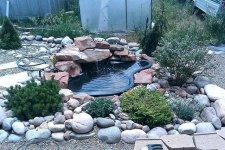 image of pond