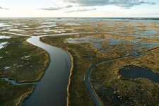 image of wetland