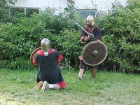 image of shield