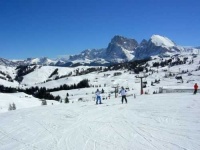 image of alp
