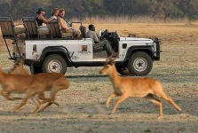 image of jeep_car