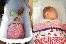 image of cradle