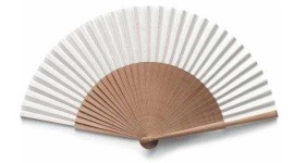 image of fan