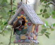 image of birdhouse