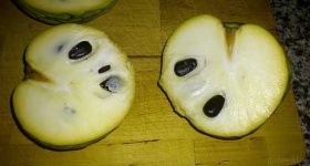 image of custard_apple