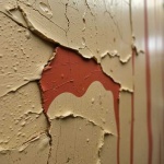 image of blistered_surface
