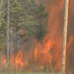 image of wildfire