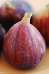 image of fig
