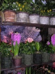 image of indoor