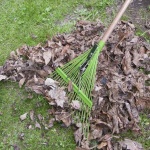 image of rake
