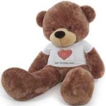 image of teddy_bear