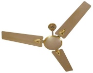 image of fan #28