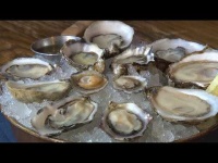 image of oyster #23