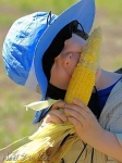 image of corn