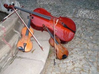 image of cello #9