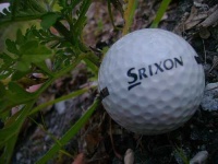 image of golf_ball