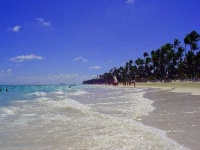 image of seashore
