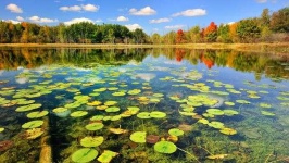 image of pond