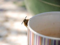 image of cup
