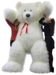 image of teddy_bear